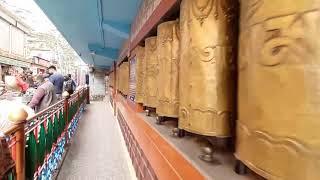 Kalachakra Temple - Buddha Temple | Free To Use Stock Video | Mcleodganj Dharamshala Video | Free