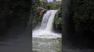 Tawhai Falls (Gollums Pool), Tongariro National Park, New Zealand #waterfall #nature #nationalpark