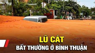 Bất thường lũ cát ở Bình Thuận | VTV9