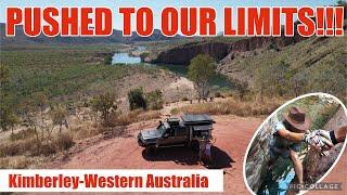 NOT RECOMMENDED FOR EVERYONE! REALITY of Travelling Australia Outback WESTERN AUSTRALIA-OFFGRID-122