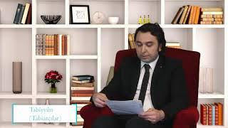 Aygün Akyol - Tabiyyûn Nedir? Tabiatçı Ekol Kimdir? Canlı Felsefe Sözlüğü