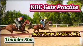 KRC | Gate Practice | Ehtisham Murtaza | Karachi Race Club | #horseracing #krc #gatepractice