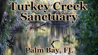 Turkey Creek Sanctuary - Palm Bay FL