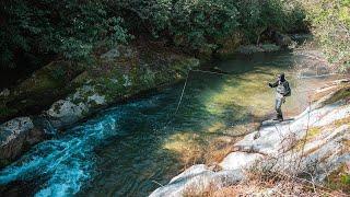 Fly Fishing Secluded Appalachian Trout Streams