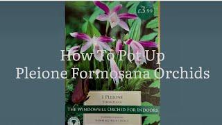 How To Pot Up Pleione Orchids, Starting Pleione Formosana Orchids, Get Gardening