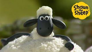 Shaun the Sheep Special Season 1 Holiday Watch Party! - Cartoons for Kids  Full Episodes [4 hours]