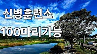 새로운 신병훈련소 100마리 가능 최프로티비 250화