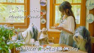 [Healing  dog and country life] wan's morning routine / 60s / vlog / Taba's birthday party 