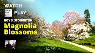 Roy S. Stoughton: Magnolia Blossoms