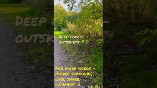 Forest outskirts, Germany#Yedukondalu Gangisetty#hiking#forest#travel#shorts#youtubeshorts