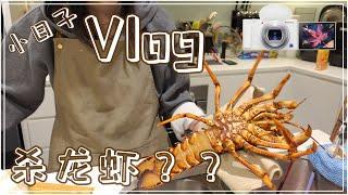 上集）在家怎样杀龙虾？先吃龙虾刺身热热身 我们的小日子 日常Vlog 索尼ZV-1 SONY相机试拍 家庭主妇Vlog 澳大利亚大红龙虾 #澳洲龙虾 #龙虾 #澳洲红龙