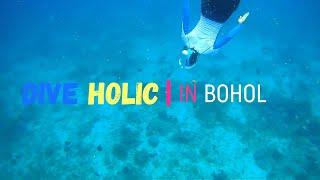 2019년8월  DIVE  HOLIC  다이브홀릭 #보홀다이빙투어 1일차 #필리핀 #보홀 #돌조비치에서