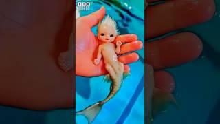 Before & After Animals Growing Up. Amazing Animal Transformation  #short #tiktok #animals