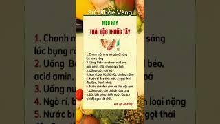 Bí Quyết Giữ Gìn Sức Khỏe Toàn Diện | Sức khỏe vàng #ChămSócSứcKhỏe #BảoVệSứcKhỏe #SốngKhỏeMỗiNgày