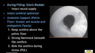 urinary incontinence | urology | 6th grade | Prof.Ahmed Elazab