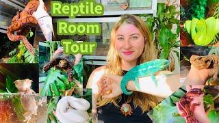 Reptile Room Tour October 2024!