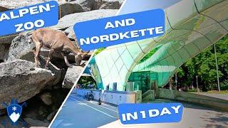 NORDKETTE and ALPINE ZOO | Our TRAVEL HACK to visit 2 MUST SEE Sights in Innsbruck, Austria!