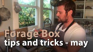 Forage Box - tips and tricks - may