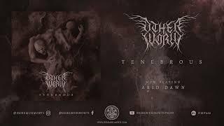 Other World - Tenebrous (Full album)