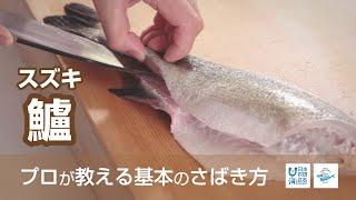 鱸（すずき）のさばき方 - How to filet Japanese Seaperch -｜日本さばけるプロジェクト（海と日本プロジェクト）