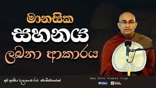 මානසික සහනය ලබතා ආකාරය| Ven Balangoda Radha Thero| Ama Dora Viwara Viya