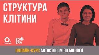 Структура клітини. ЗНО з біології