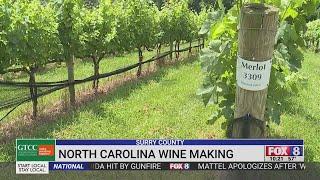 FOX8's Madison Forsey learns to make wine on Teach Me Tuesday