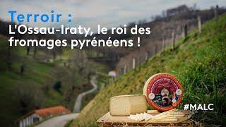 Terroir : l'Ossau-Iraty, le roi des fromages pyrénéens !