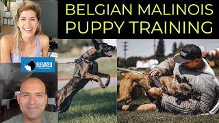 HOW TO TRAIN BELGIAN MALINOIS PUPPY FAQ | ELEVATED CANINE ACADEMY | YOLO PUP LA