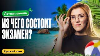 Из чего состоит экзамен? | Летняя школа 100балльный | Маша Птипца