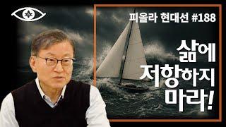 [현대선188] 삶에 저항하지 마라! / 피올라 현대선 28강 "생각을 벗어난 자리" 1회 #피올라마음학교 #마음공부 #깨달음 #현대선