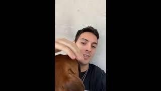 Murio COSCU | el PERRO del Streamer Martín Pérez Disalvo