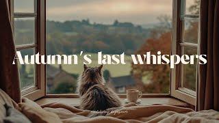 autumn's last whispers in dreamy autumn morning playlist ️ romanticize your life with guitar music