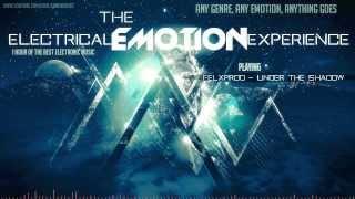 'The Electrical Emotion Experience' 1 Hour Electronic Mix