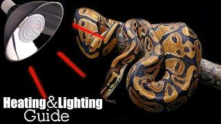 Ball Python Heating/Lighting Guide