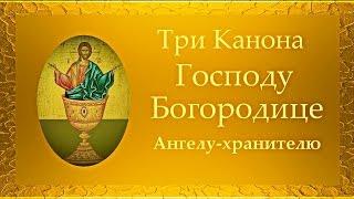 3 Канона: Иисусу Сладчайшему, Пресвятой Богородице, Ангелу Хранителю (ускоренный вариант)