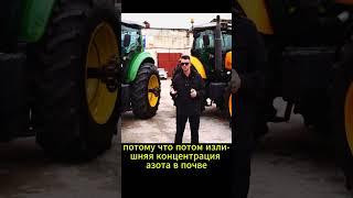 Подкормка селитрой пшеницы