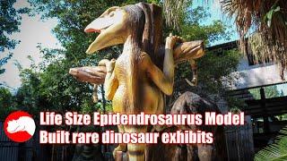 Life Size Epidendrosaurus Model - Rare Dinosaur Exhibits