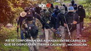 Así se conforman las alianzas entre cárteles que se disputarán "Tierra Caliente", Michoacán