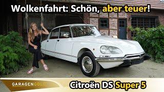 Citroën DS D Super 5: Restaurierte Rarität! | Gebrauchtwagencheck | Jils Blechjuwelen