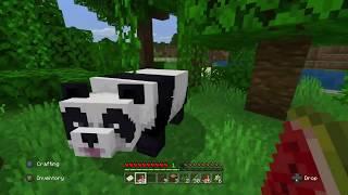 The Playful Panda/Minecraft