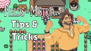 Beginner Tips and Tricks for Fields of Mistria!