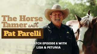  Episode 6 of The Horse Tamer Series: Lisa & Petunia