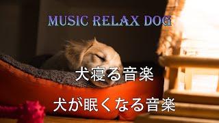 この音楽は、犬を落ち着かせ、1分もかからずに眠るのに役立ちます。犬のための音楽 【 DOGS MUSIC BGM 2023】#犬のための音楽