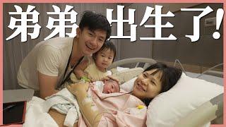 弟弟出生了！帶大寶一起進產房！｜豬豬隊友 Scott & Wendy