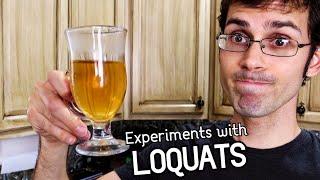 What to do with LOQUATS! - Making Loquat Leaf Tea & Loquat Crumble - Weird Fruit Explorer