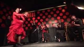 Amazing Flamenco Show in Los Tarantos Barcelona