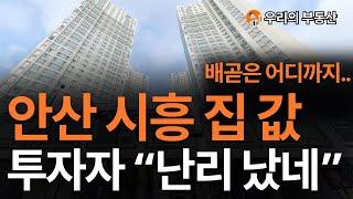 시흥 안산 집 값, 지금 이거 맞나요? 앞으로 시흥 안산 부동산은 이렇게 됩니다 [부동산 아파트 집 값 전망]