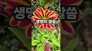 말씀찬양 행 28:31 생명의 말씀