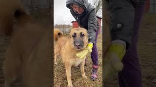 ЖУЛЬКА… Сладкий розовый нос 